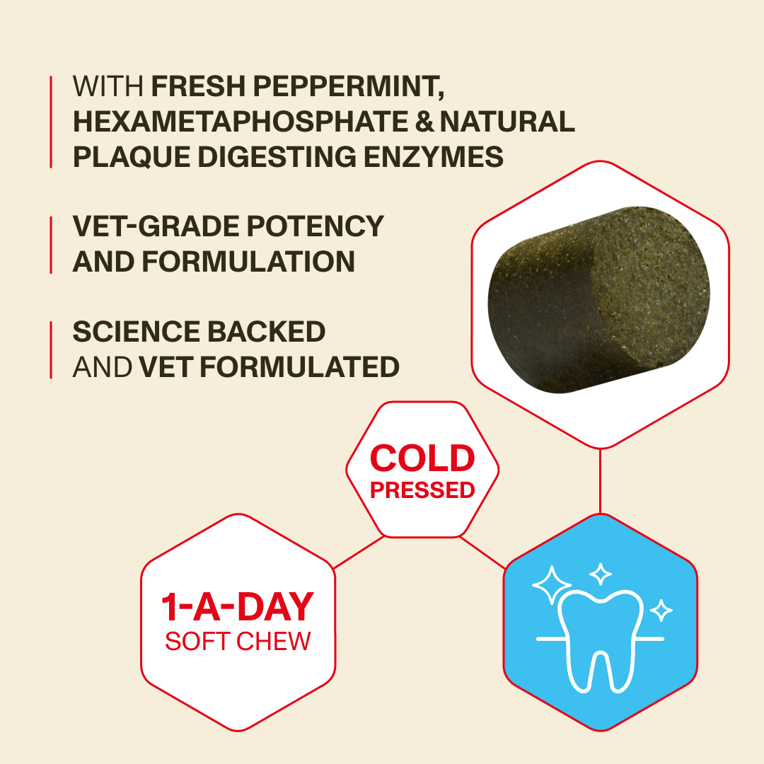 ✨ VitalPet Life Longevity+ Pet Supplement Powder | Extend Pet’s Healthy Lifespan, Boost Immunity, Improve Coat Shine, Reduce Itching & Freshen Breath – For Dogs & Cats, All Ages